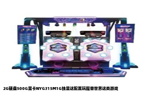 2G硬盘500G显卡NYG315M1G独显这配置玩魔兽世界这类游戏