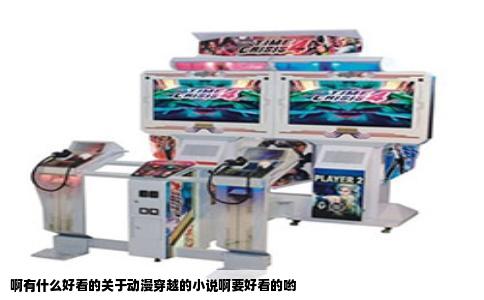 啊有什么好看的关于动漫穿越的小说啊要好看的哟