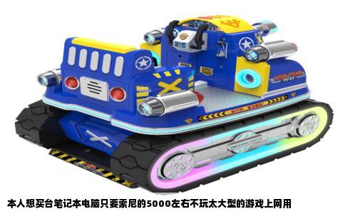 本人想买台笔记本电脑只要索尼的5000左右不玩太大型的游戏上网用