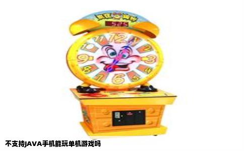 不支持JAVA手机能玩单机游戏吗