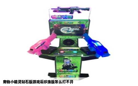 宠物小精灵钻石版游戏后珍珠版怎么打不开