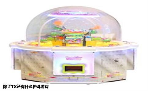 除了TX还有什么格斗游戏