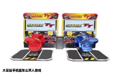 大富翁手机版怎么双人游戏