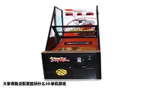 大家看我这配置能玩什么3D单机游戏