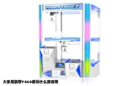大家用联想Y460都玩什么游戏呢