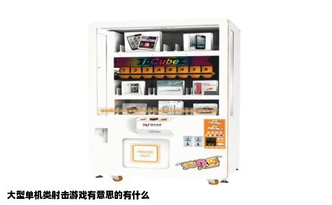 大型单机类射击游戏有意思的有什么