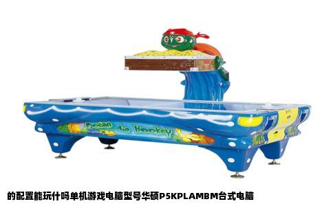 的配置能玩什吗单机游戏电脑型号华硕P5KPLAMBM台式电脑