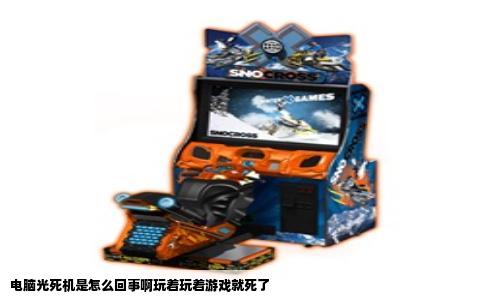 电脑光死机是怎么回事啊玩着玩着游戏就死了