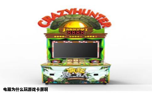 电脑为什么玩游戏卡屏啊