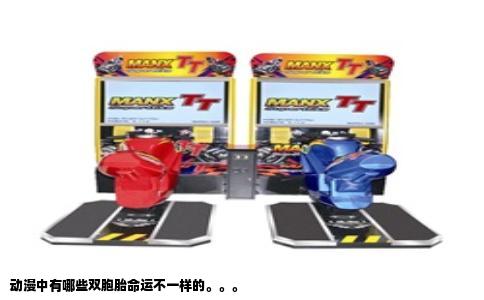 动漫中有哪些双胞胎命运不一样的。。。