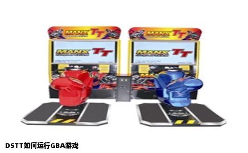DSTT如何运行GBA游戏