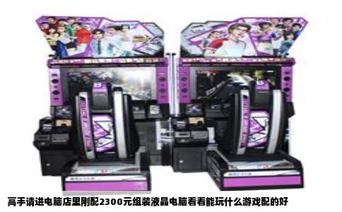 高手请进电脑店里刚配2300元组装液晶电脑看看能玩什么游戏配的好