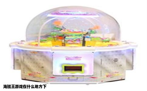 海贼王游戏在什么地方下