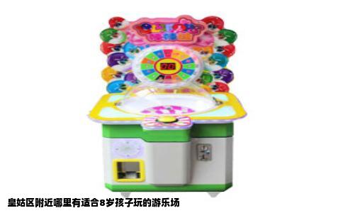 皇姑区附近哪里有适合8岁孩子玩的游乐场