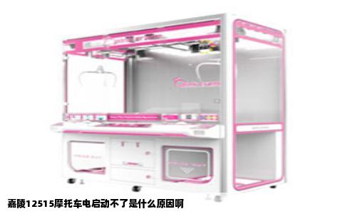 嘉陵12515摩托车电启动不了是什么原因啊