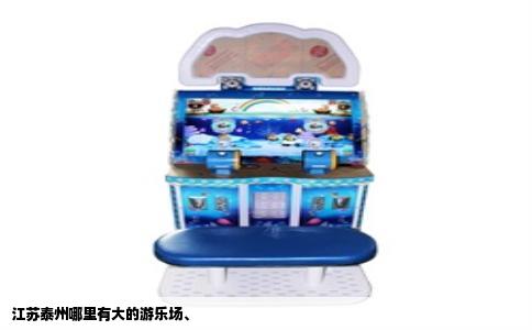 江苏泰州哪里有大的游乐场、