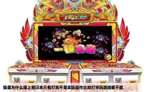 键盘为什么插上笔记本只有灯亮不是实际操作比如打字玩游戏都不能