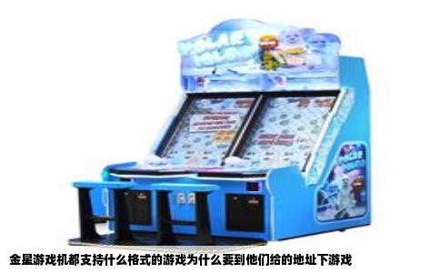 金星游戏机都支持什么格式的游戏为什么要到他们给的地址下游戏