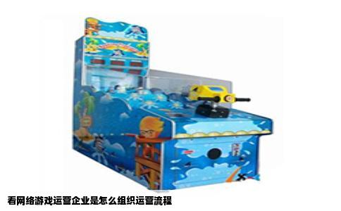 看网络游戏运营企业是怎么组织运营流程