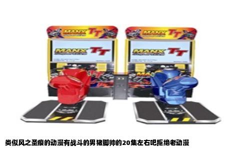 类似风之圣痕的动漫有战斗的男猪脚帅的20集左右吧拒绝老动漫