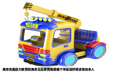 南京完美动力教育和南京王氏教育集团哪个学动漫好啊求告知本人