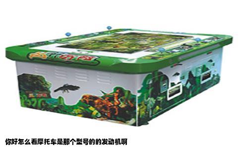 你好怎么看摩托车是那个型号的的发动机啊