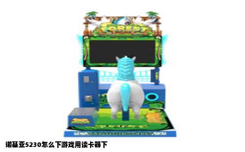 诺基亚5230怎么下游戏用读卡器下