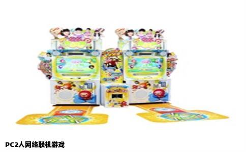 PC2人网络联机游戏