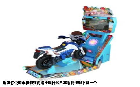 朋友你说的手机游戏海贼王叫什么名字啊我也想下载一个