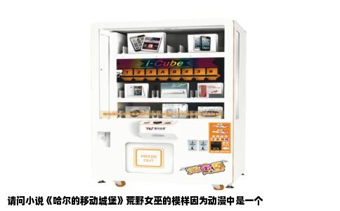 请问小说《哈尔的移动城堡》荒野女巫的模样因为动漫中是一个