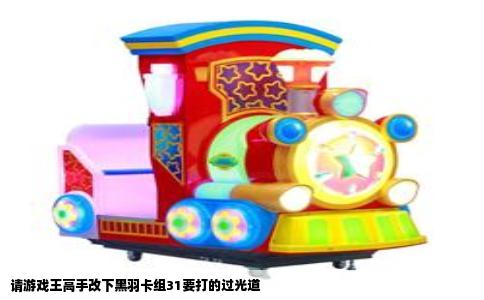 请游戏王高手改下黑羽卡组31要打的过光道