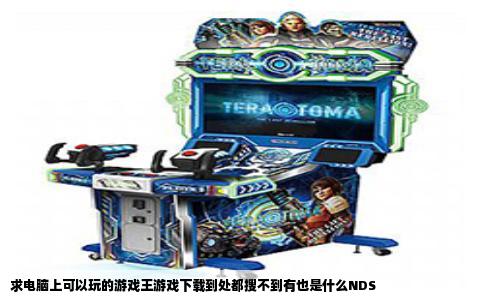 求电脑上可以玩的游戏王游戏下载到处都搜不到有也是什么NDS