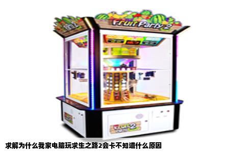 求解为什么我家电脑玩求生之路2会卡不知道什么原因