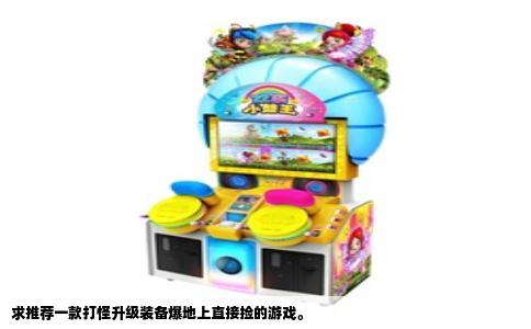 求推荐一款打怪升级装备爆地上直接捡的游戏。