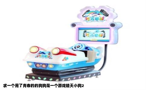 求一个用了青春的的狗狗是一个游戏晴天小狗2