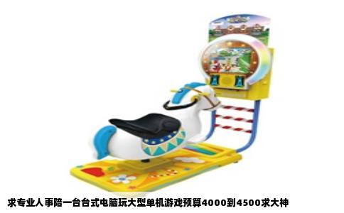 求专业人事陪一台台式电脑玩大型单机游戏预算4000到4500求大神