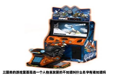 三国类的游戏里面是选一个人物来发展的不知道叫什么名字有谁知道吗