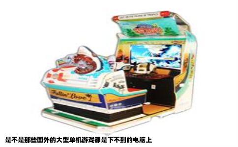 是不是那些国外的大型单机游戏都是下不到的电脑上