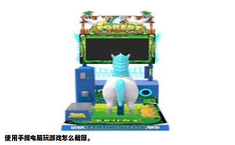 使用手提电脑玩游戏怎么截图。