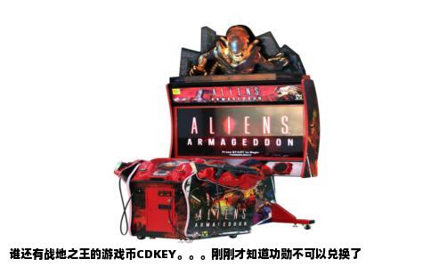 谁还有战地之王的游戏币CDKEY。。。刚刚才知道功勋不可以兑换了