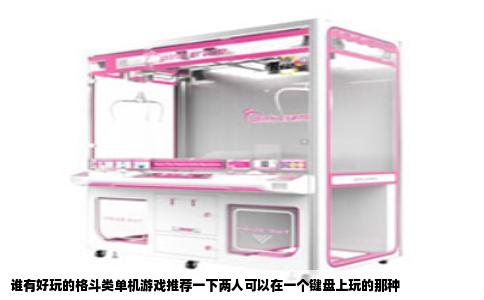 谁有好玩的格斗类单机游戏推荐一下两人可以在一个键盘上玩的那种