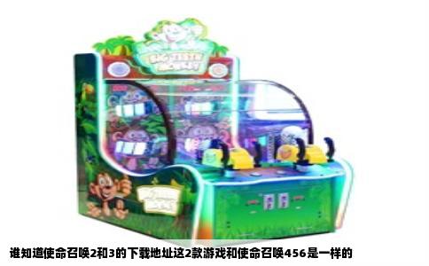 谁知道使命召唤2和3的下载地址这2款游戏和使命召唤456是一样的