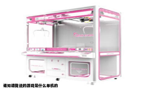 谁知道我说的游戏是什么单机的