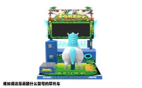 谁知道这是嘉陵什么型号的摩托车