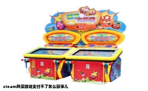 steam购买游戏支付不了怎么回事儿