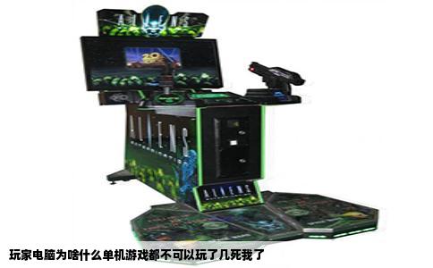 玩家电脑为啥什么单机游戏都不可以玩了几死我了