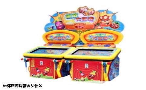 玩体感游戏需要买什么