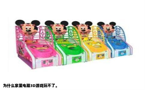 为什么家里电脑3D游戏玩不了。