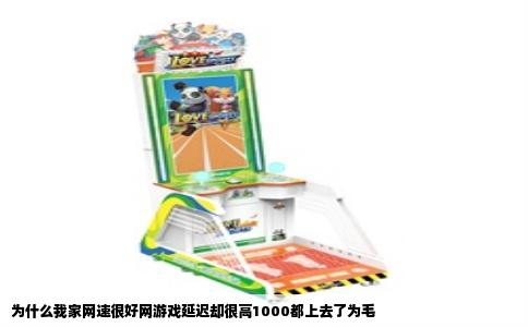 为什么我家网速很好网游戏延迟却很高1000都上去了为毛