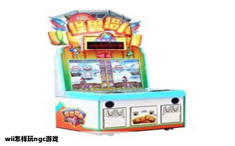 wii怎样玩ngc游戏